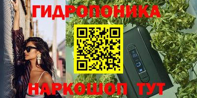 индика Будённовск