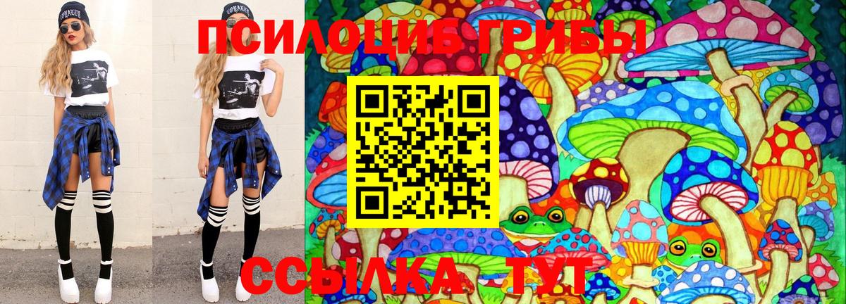 Заинск  Галлюциногенные грибы GOLDEN TEACHER  Вход с VPN  Псилоцибиновые грибы Magic Shrooms 