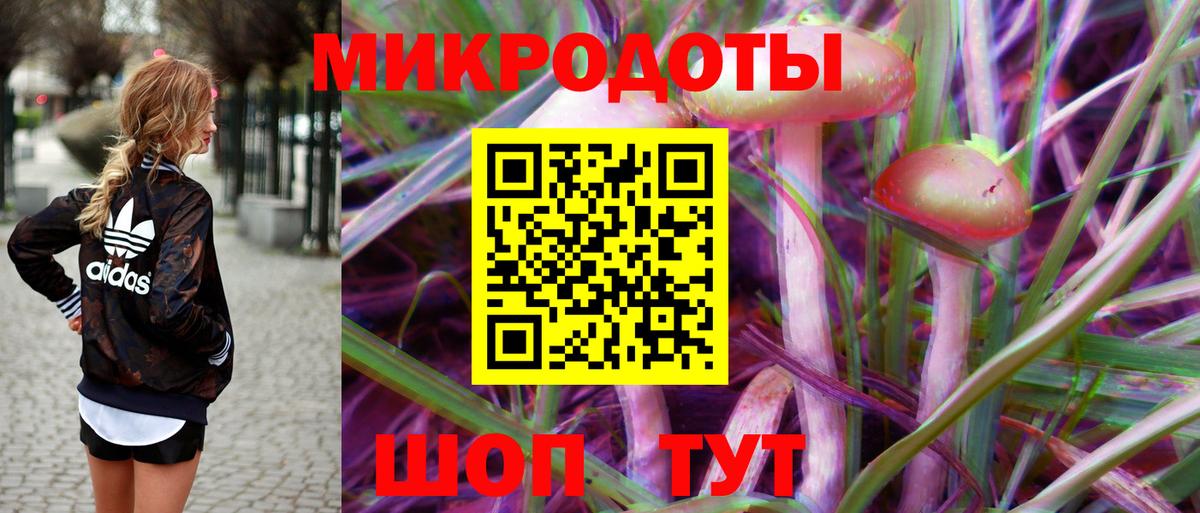 Галлюциногенные грибы Psilocybe Заинск